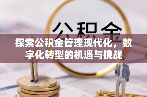 宝清探索公积金管理现代化，数字化转型的机遇与挑战