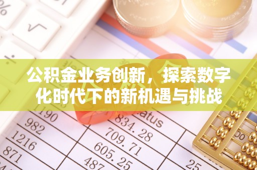 宝清公积金业务创新，探索数字化时代下的新机遇与挑战