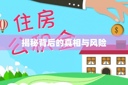 宝清揭秘背后的真相与风险