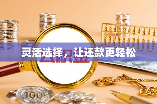宝清灵活选择，让还款更轻松