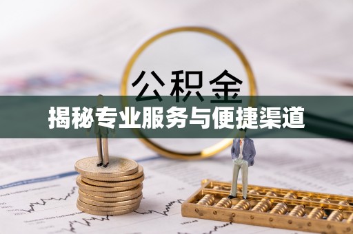 宝清揭秘专业服务与便捷渠道