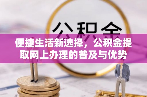 宝清便捷生活新选择，公积金提取网上办理的普及与优势