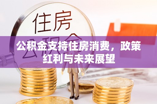宝清公积金支持住房消费，政策红利与未来展望