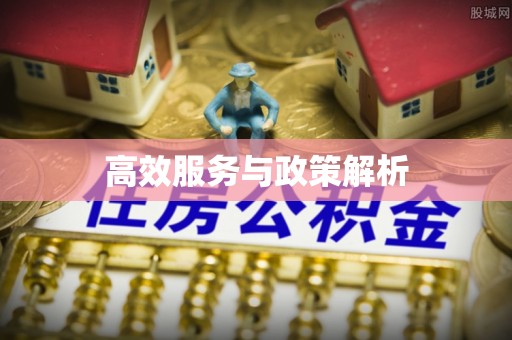 宝清高效服务与政策解析