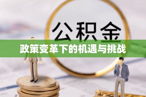宝清政策变革下的机遇与挑战