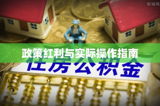 宝清政策红利与实际操作指南