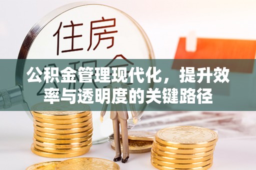 宝清公积金管理现代化，提升效率与透明度的关键路径