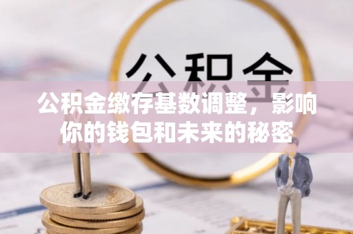 宝清公积金缴存基数调整，影响你的钱包和未来的秘密