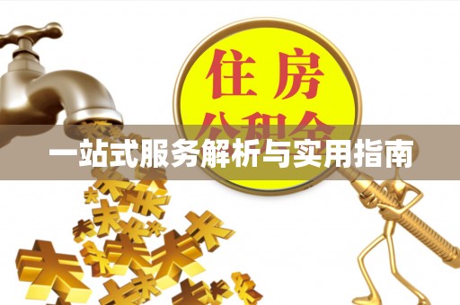 宝清一站式服务解析与实用指南