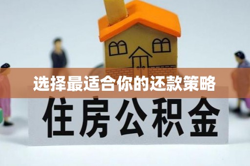 宝清选择最适合你的还款策略