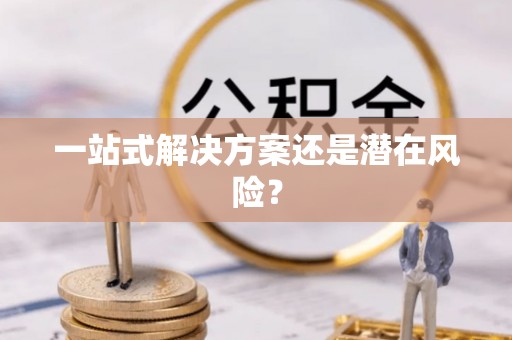 宝清一站式解决方案还是潜在风险？